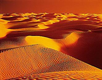 上千元的亮机卡！GTX 1630正式发布：还不如6年前的它